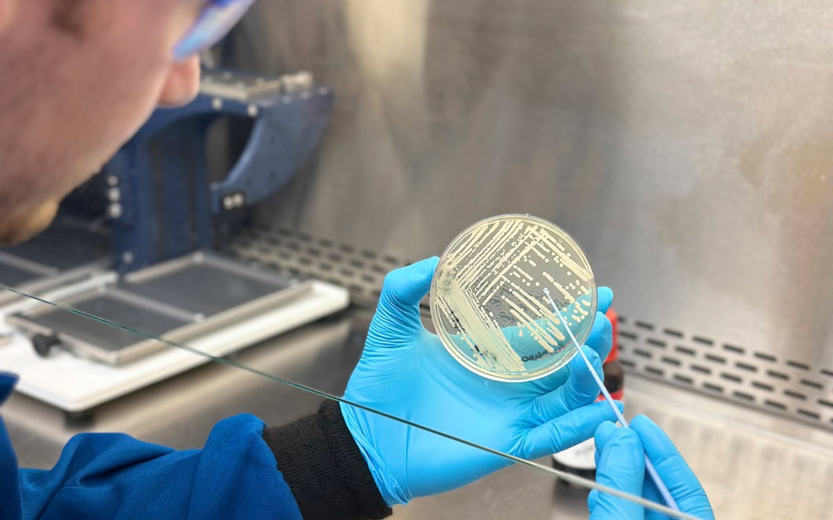 Ben Tresco working with a petri dish in the lab.