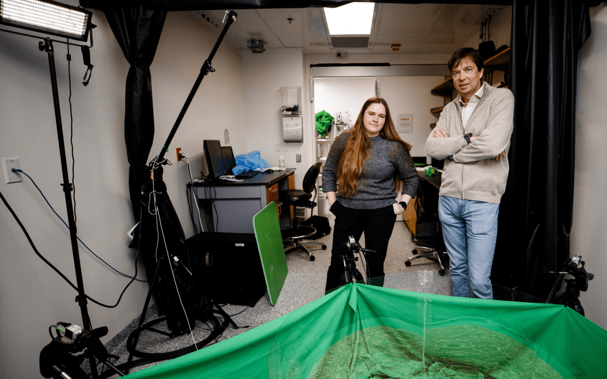 Postdoctoral Fellow Ugne Klibaite (left) and Bence P Ölveczky, Professor of Organismic and Evolutionary Biology.