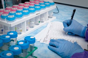 A National Eye Institute laboratory scientist documents research findings.