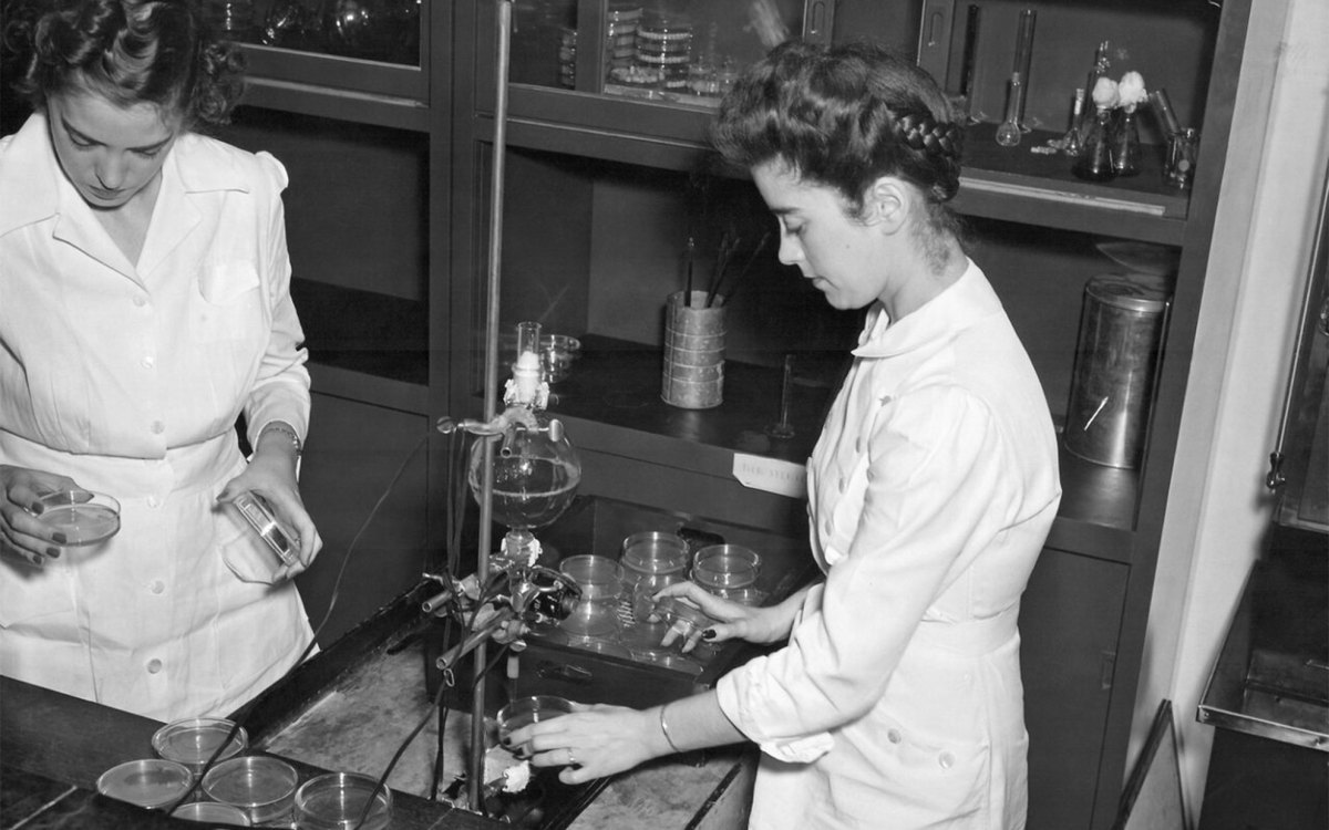 Here workers at a United States Department of Agriculture research lab, ca. 1943, look for mold strains that produce the highest amounts of the antibiotic.