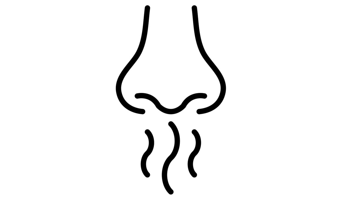 Illustration of nose smelling.