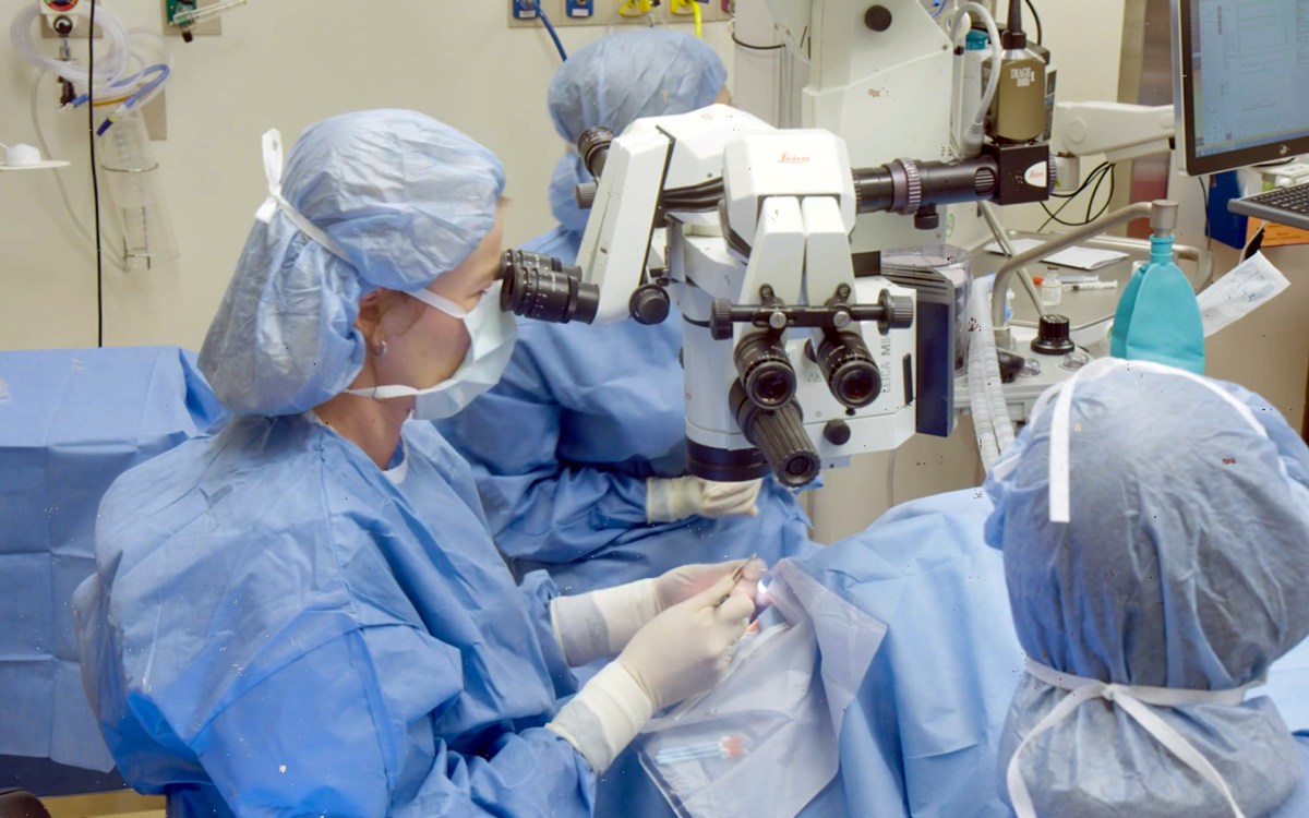 Ula Jurkunas and team perform stem cell therapy transplant on patient with corneal injury at Mass Eye and Ear.