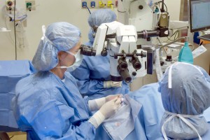 Ula Jurkunas and team perform stem cell therapy transplant on patient with corneal injury at Mass Eye and Ear.