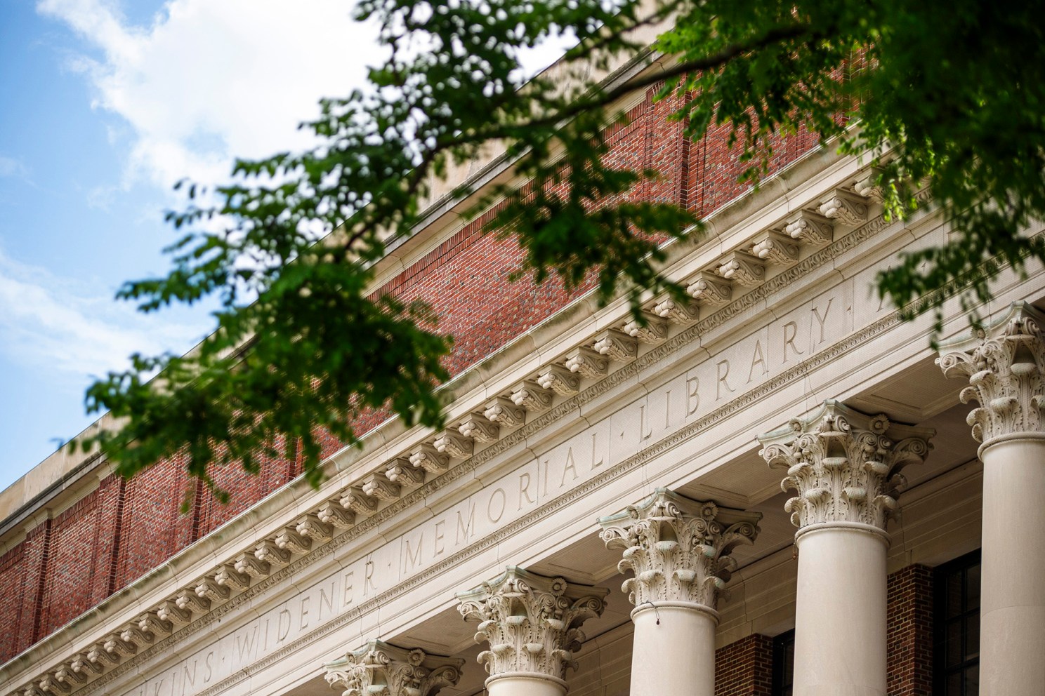 Harvard campus.