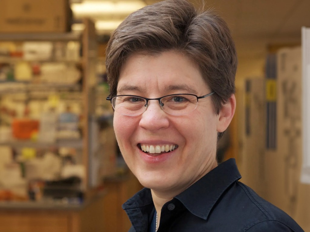 Jennifer A. Lewis