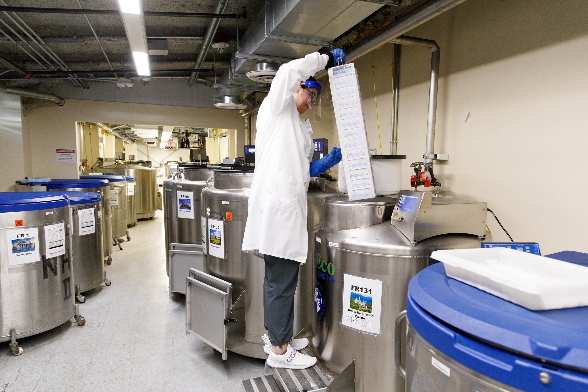 Technician returns samples to freezers in Chan School biorepository.