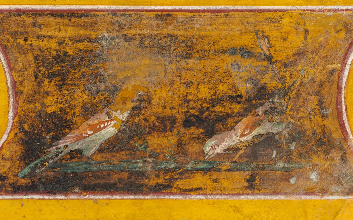 Detail of a Wall Painting Fragment from the Villa at Boscotrecase, 10 BCE-1 BCE, from the early Roman Imperial period.