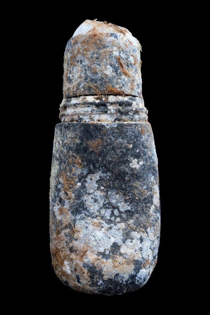 A deodorant container colonized by bryozoa.