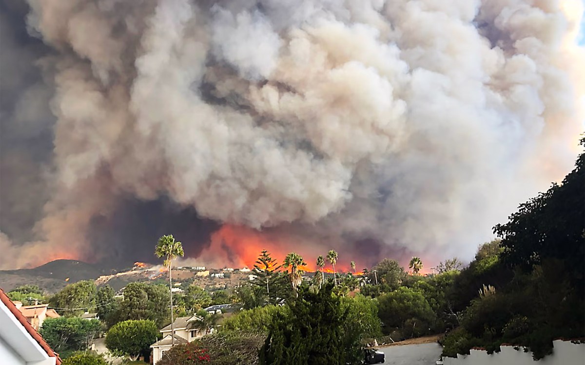 Raging wildfire.