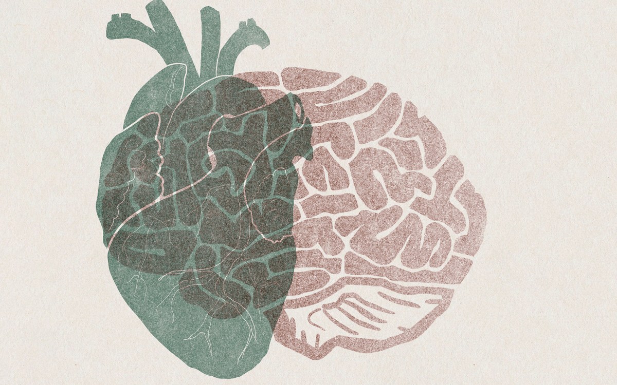 Illustration of heart and brain.
