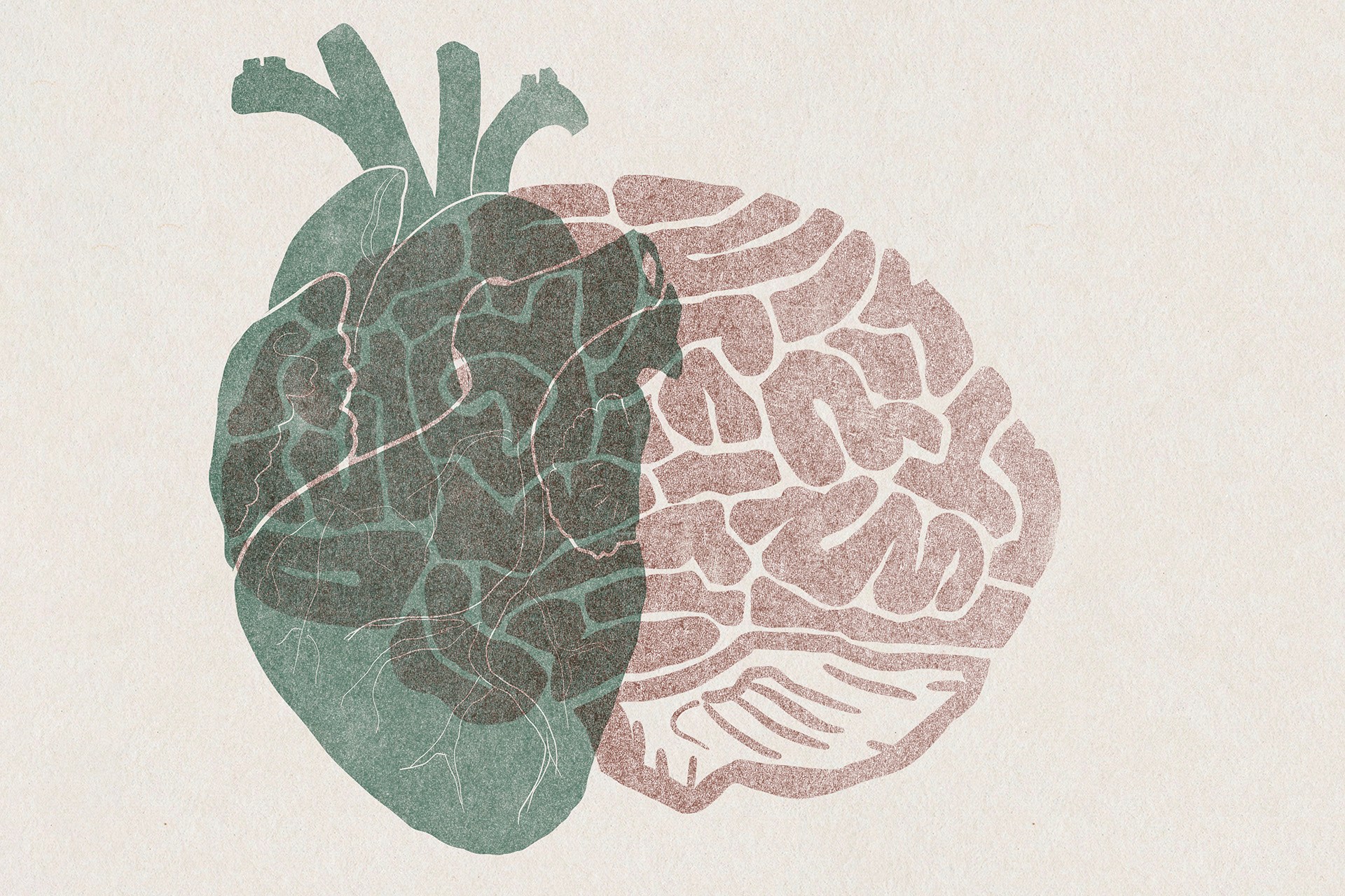 A scorecard for brain health — Harvard Gazette