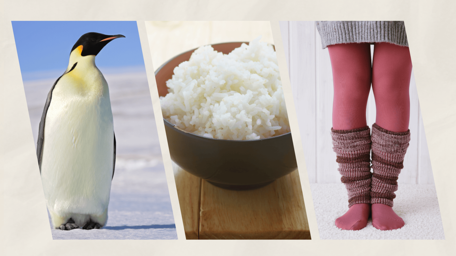 Photo illustration of penguin, bowl of rice, and tights.