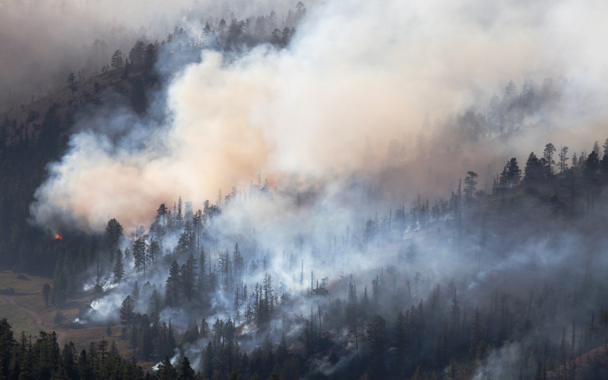 wildfire smoke