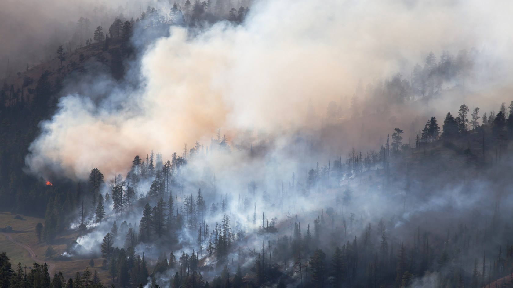 wildfire smoke