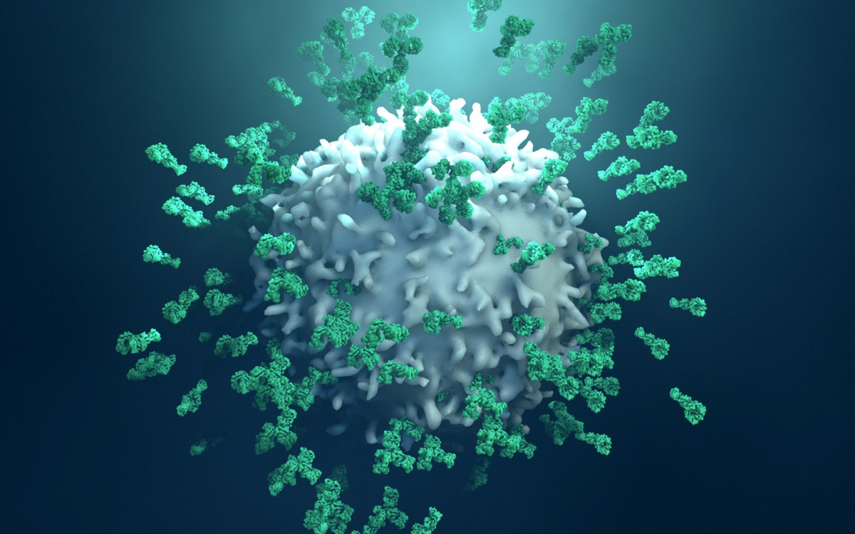 Immune checkpoint inhibitor.