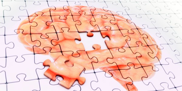 Illustration of brain-shaped puzzle.