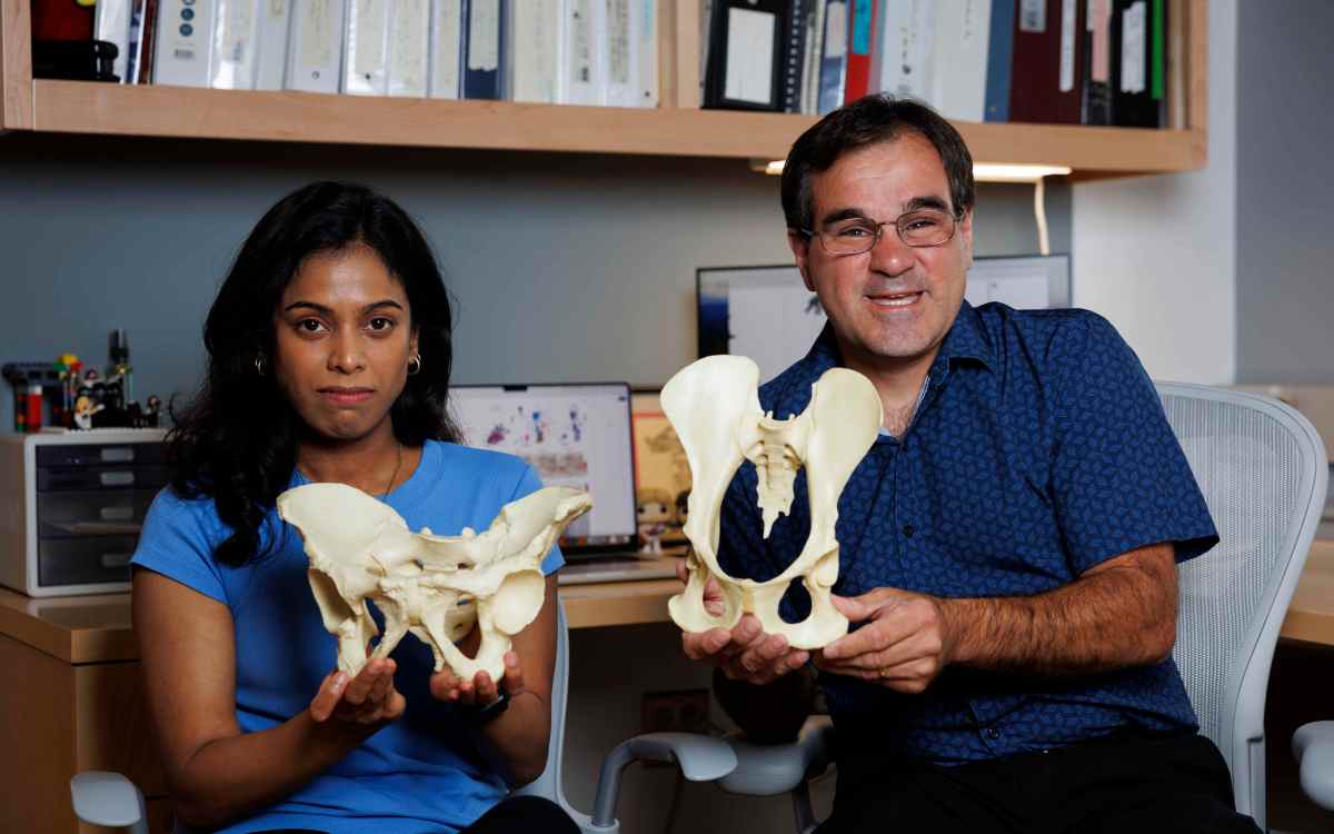 Gayani Senevirathne and Terence Capellini holding models of pelvises.