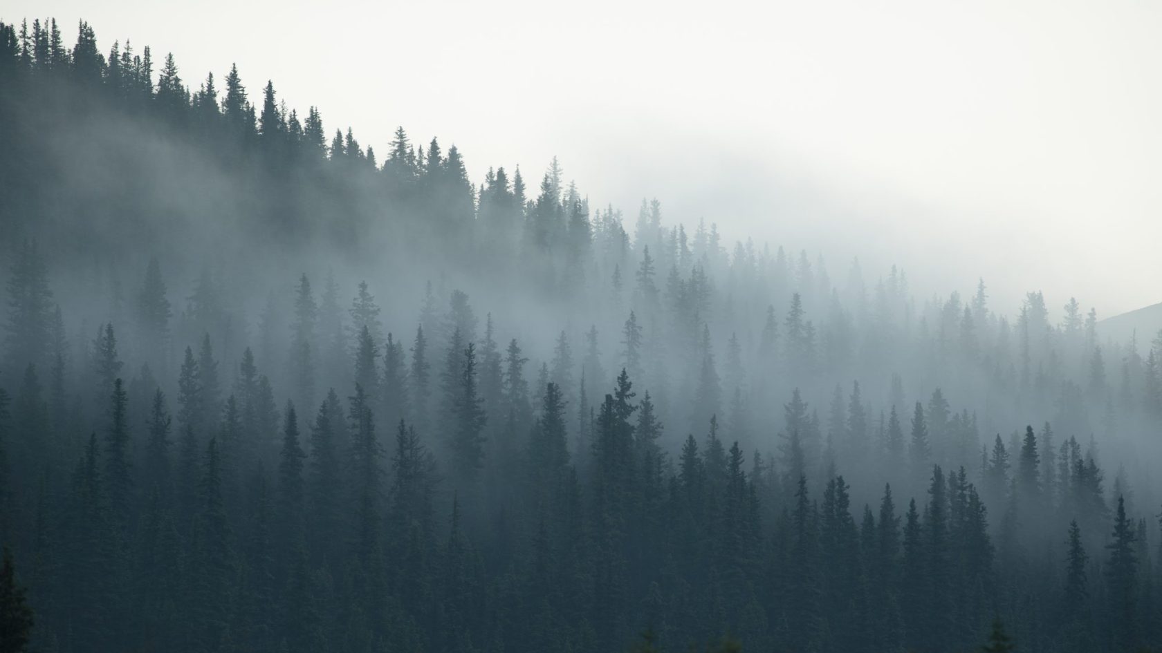 PNW