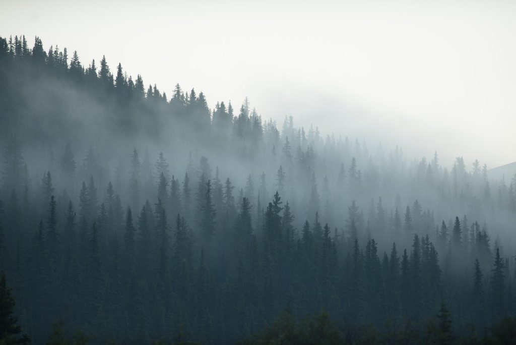 PNW