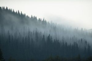 PNW