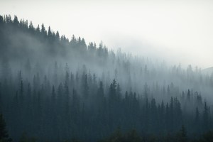 PNW