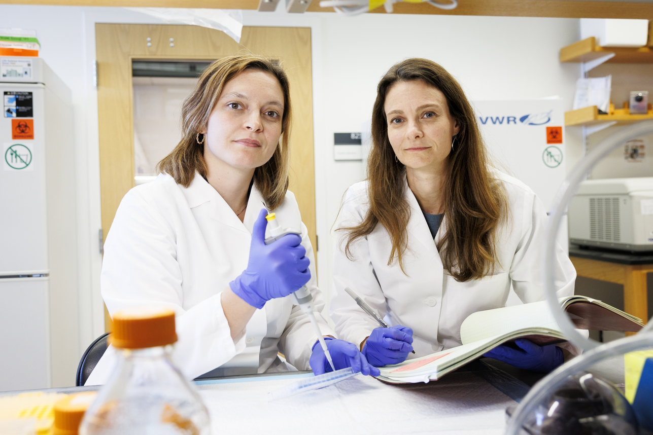 How a bioethicist and doctor sees abortion — Harvard Gazette