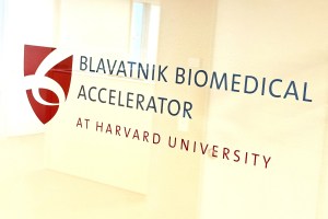 Blavatnik Biomedical Accelerator office.