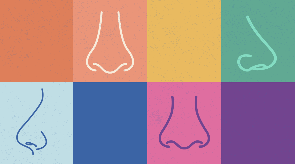 collage of noses