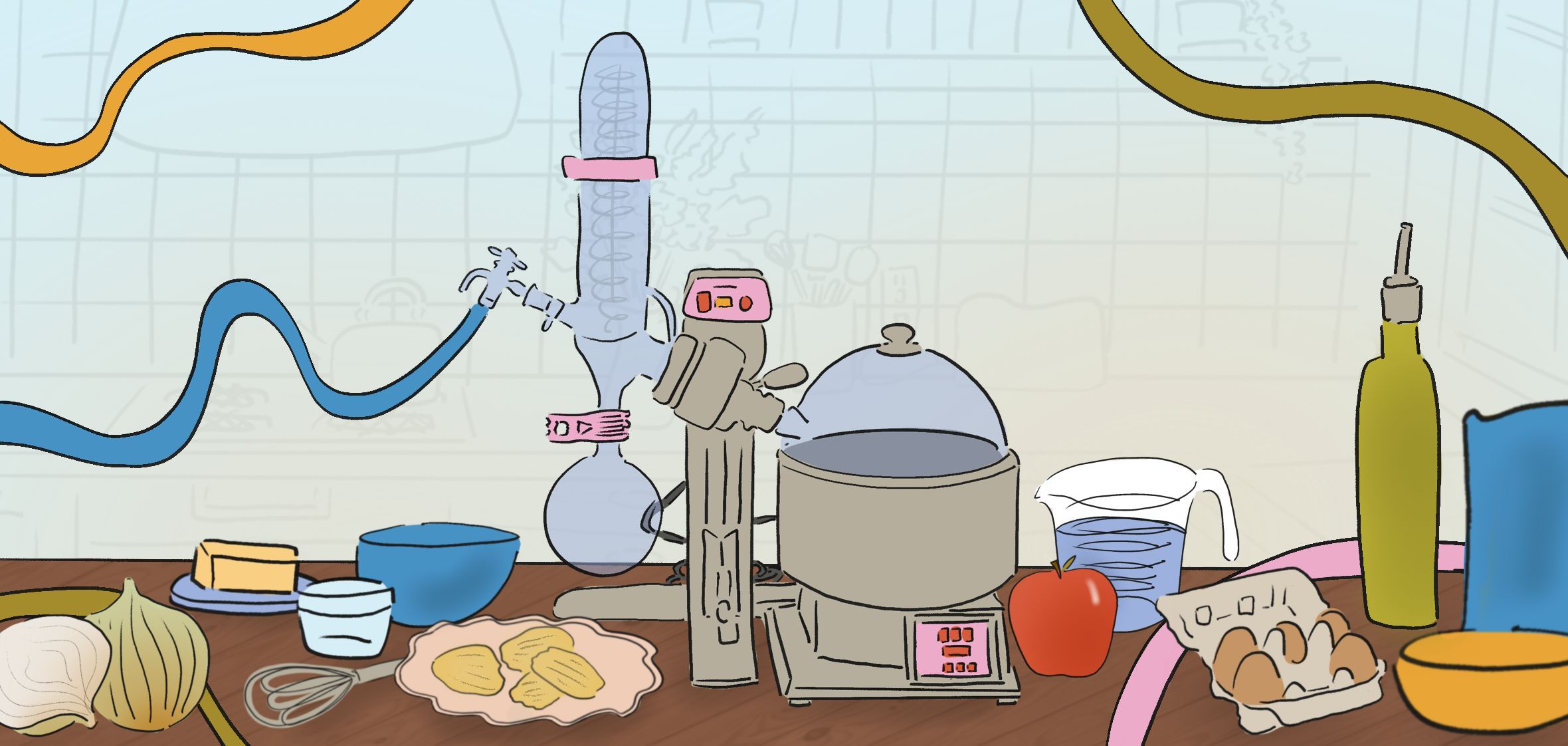 Think you understand kitchen science?  Harvard Gazette