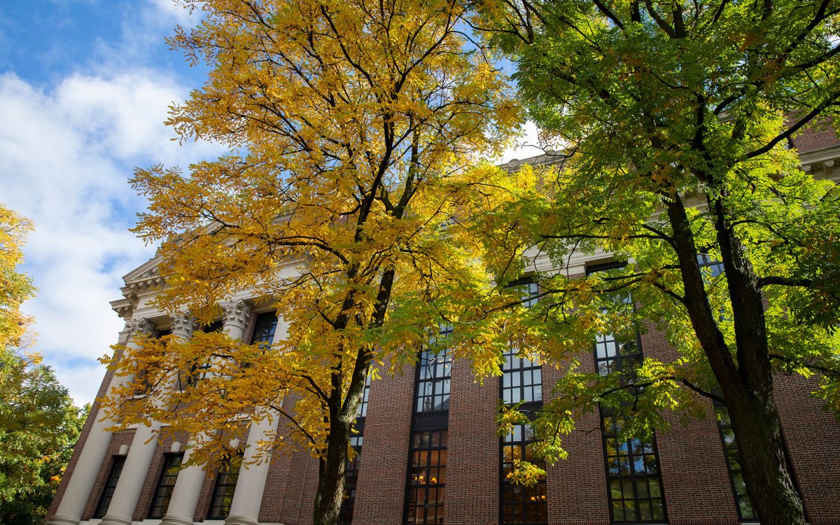 Trees frame The Widener Library in Harvard Yard