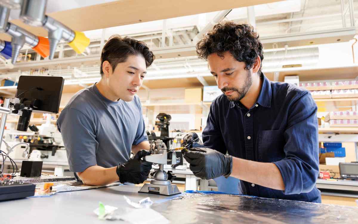 Suk Hyun Sung (left) and Ismail El Baggari working together on an electron microscope specimen holder.