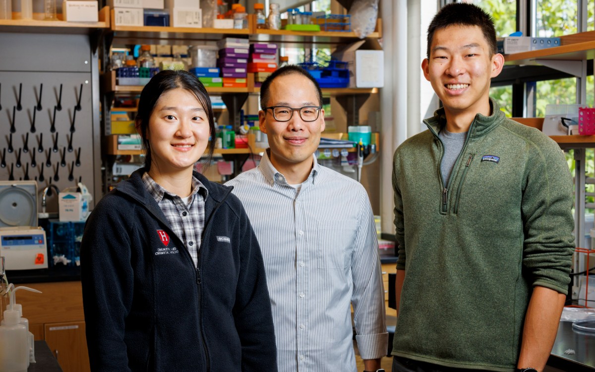 Heejin Roh (left), Brian Liau, and Simon Shen.