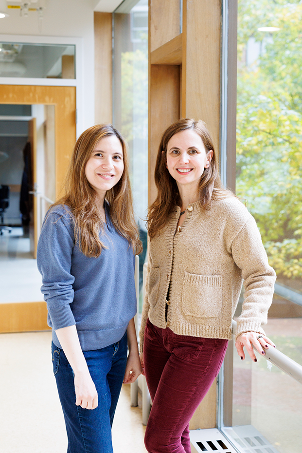 Salamanders can regrow limbs. Could humans someday? - Harvard Gazette