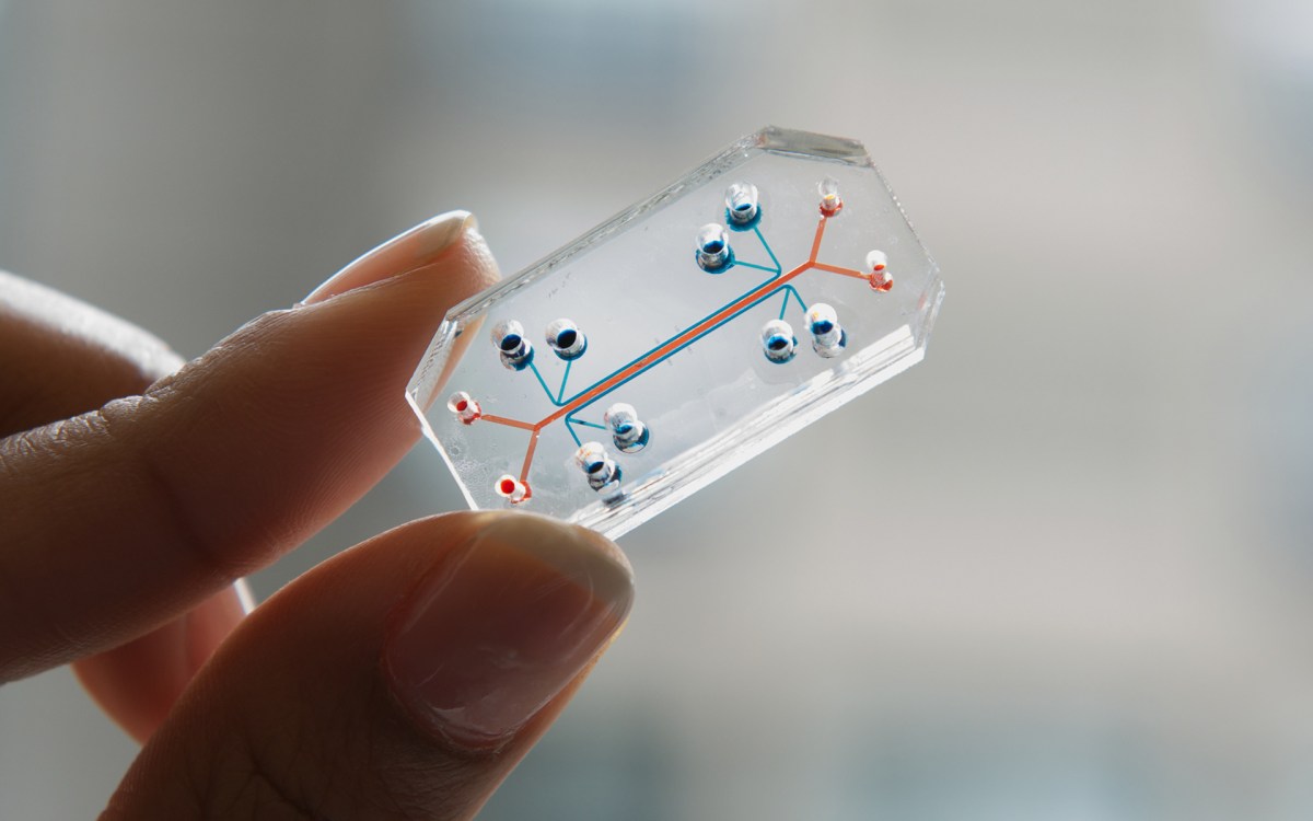 Close-up view of a person's hand holding a transparent, rectangular object.