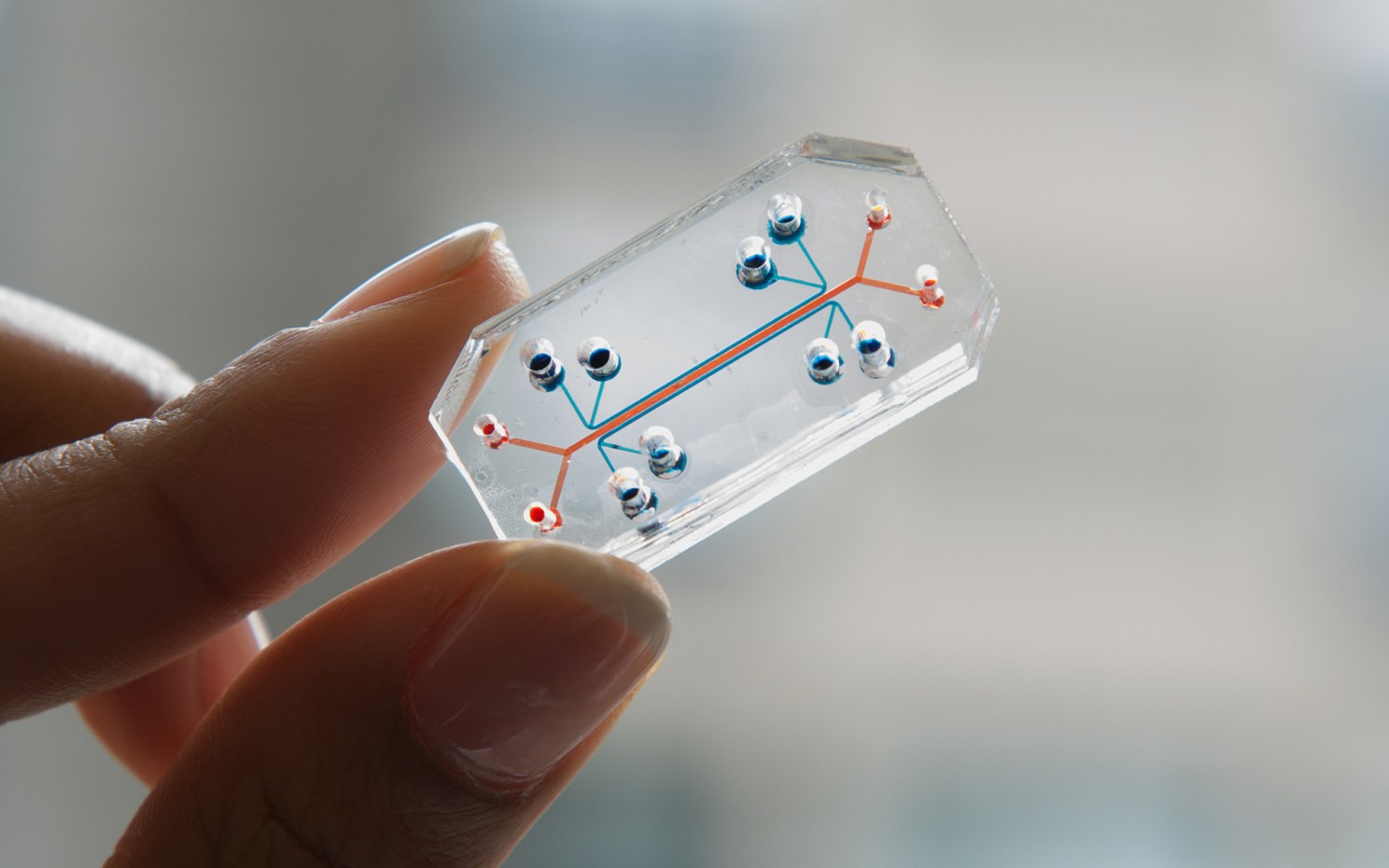 Close-up view of a person's hand holding a transparent, rectangular object.