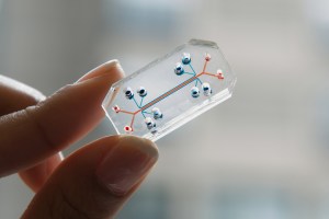 Close-up view of a person's hand holding a transparent, rectangular object.