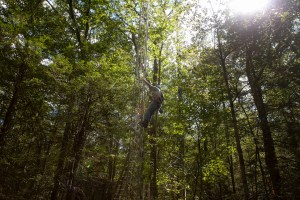 Mark VanScoy climbs the new environmental monitoring tower in Harvard Forest.