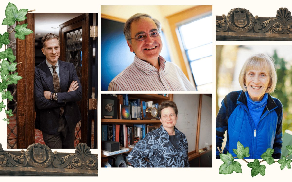 Noah Feldman (clockwise from upper left), Cumrun Vafa, Claudia Goldin, and Catherine Dulac.