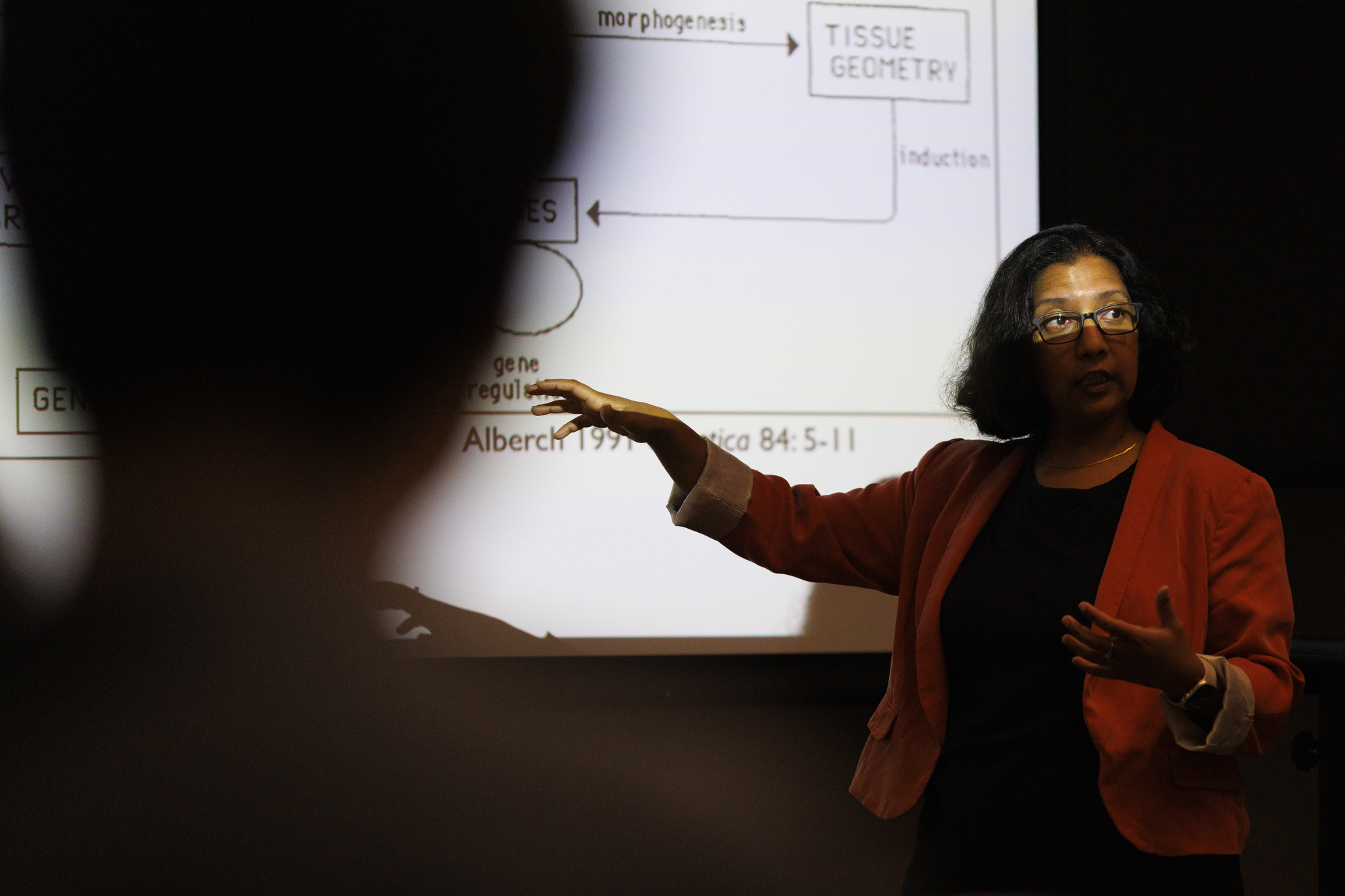 No one knows the answer, and that's the point - Harvard Gazette