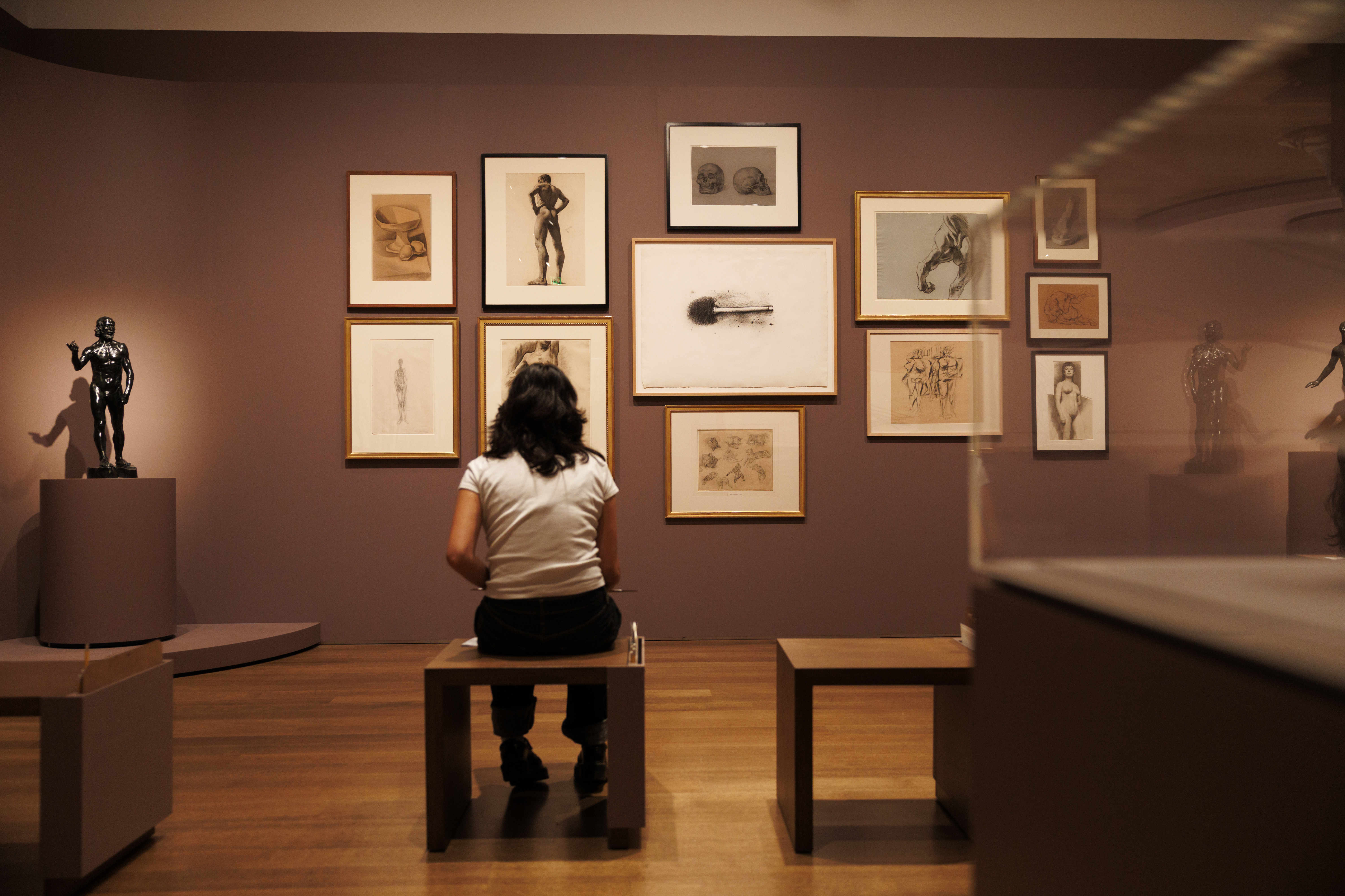 'A love letter to drawing' - Harvard Gazette