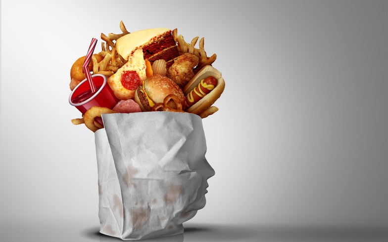 Ultra-Processed Food filling a bag.