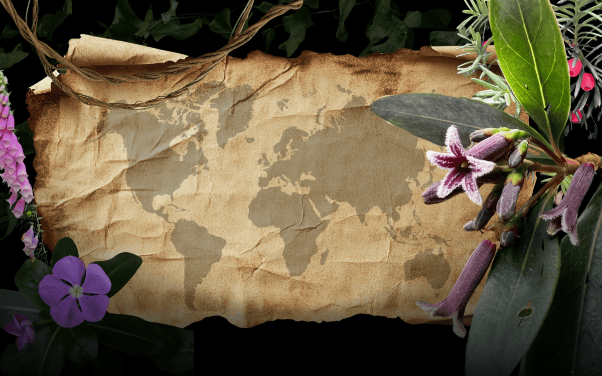 collage of medicinal flowers and world map