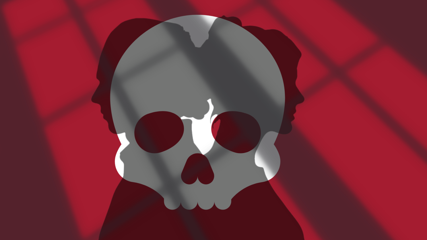 shadows and skull