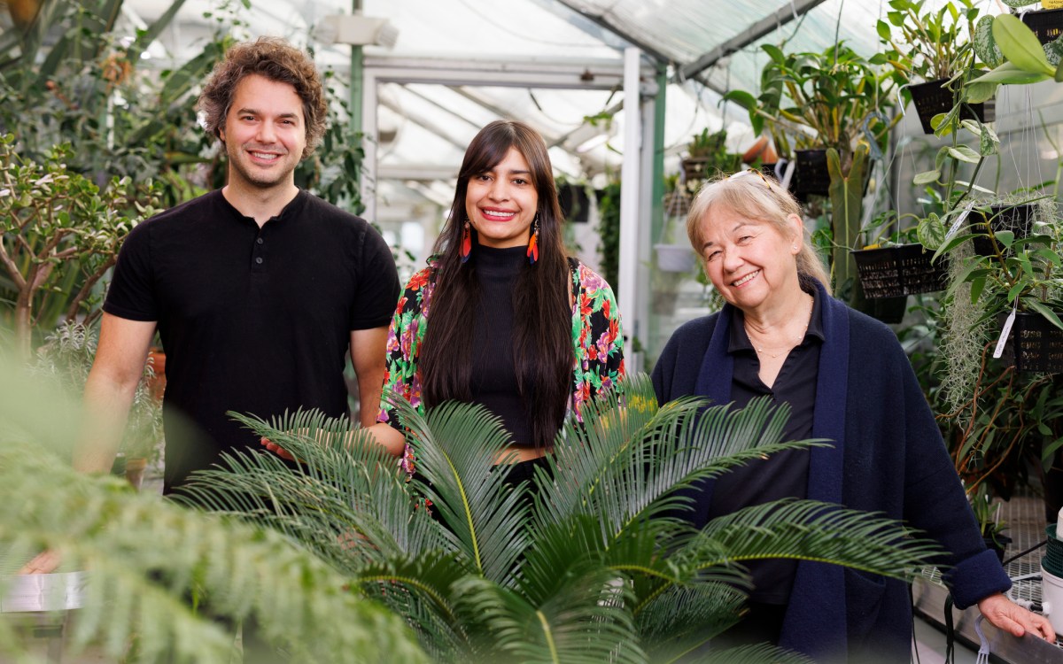 Nicholas Bellono (from left), a professor of Molecular and Cellular Biology, Wendy Valencia Montoya, a junior fellow of the Society of Fellows, and Naomi Pierce, the Sidney A. and John H. Hessel Professor of Biology, are seen near a cycad plant in the Biological Laboratory greenhouse. New research from the group, which will be published in the journal Science, revealed how the plant heats up its reproductive organs to attract beetles, which in turn facilitate pollination. Bellono and Pierce served as advisors for Montoya’s doctoral work, which she recently completed. Pierce is also a senior fellow of the Society of Fellows and curator of lepidoptera. Bellono serves as principal investigator of the Bellono Lab. Veasey Conway/Harvard Staff Photographer