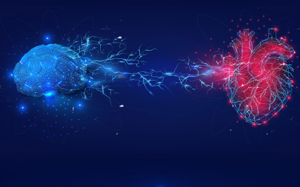 Digital Illustration of Brain and Heart Connectivity.