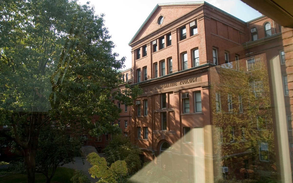 Museum of Comparative Zoology at Harvard.