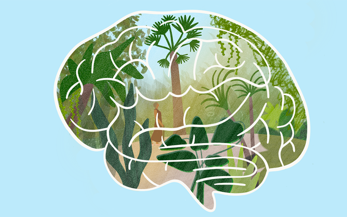 lush garden inside of brain