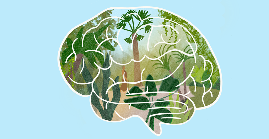 lush garden inside of brain