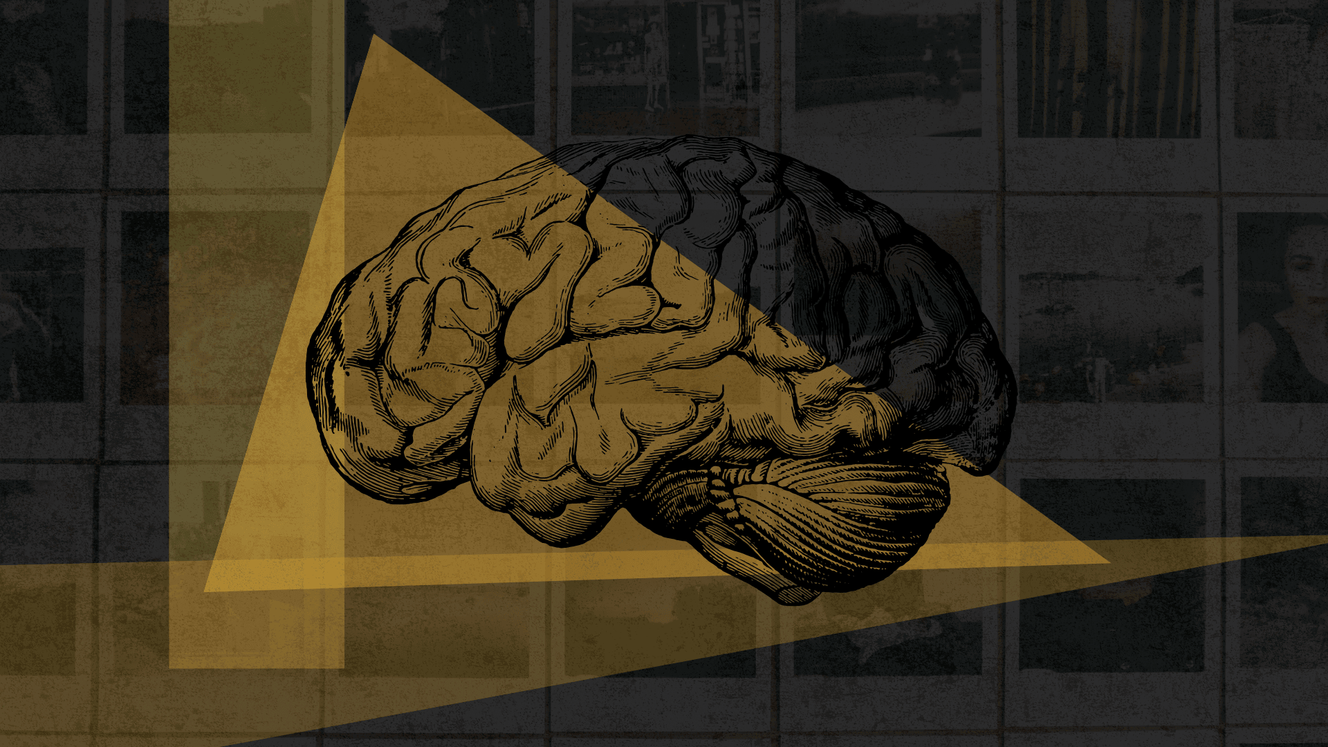 Memory visual data 5