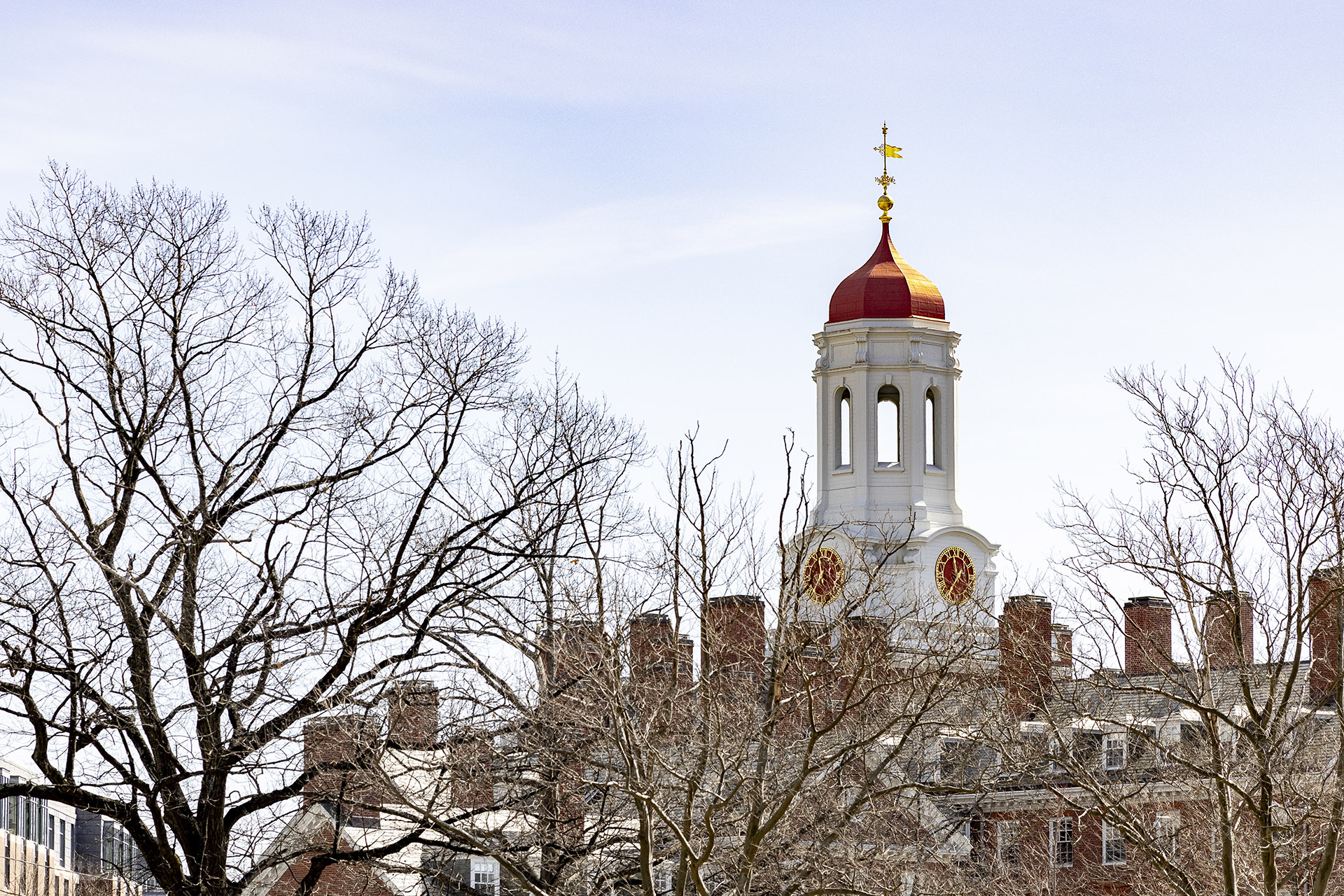 Alumni committee names candidates for Harvard board elections